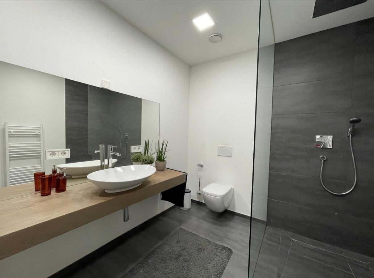 Modernes Mit Wunderschonem Rheinblick Apartment