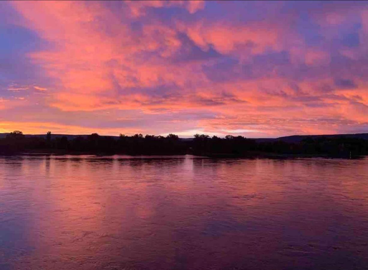 Appartamento Modernes Mit Wunderschonem Rheinblick *